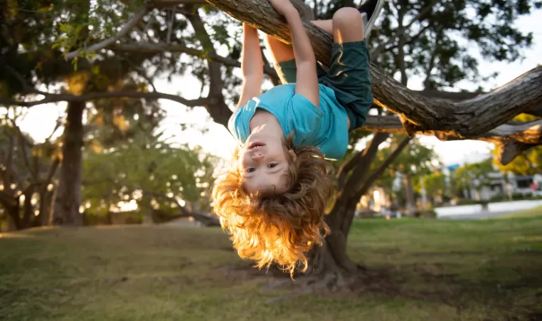 Child playing in tree