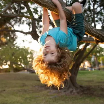 Child playing in tree