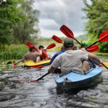 a group of people canoeing